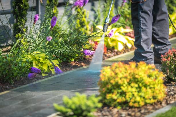 Trusted Sparta, GA Pressure Washing Services Experts